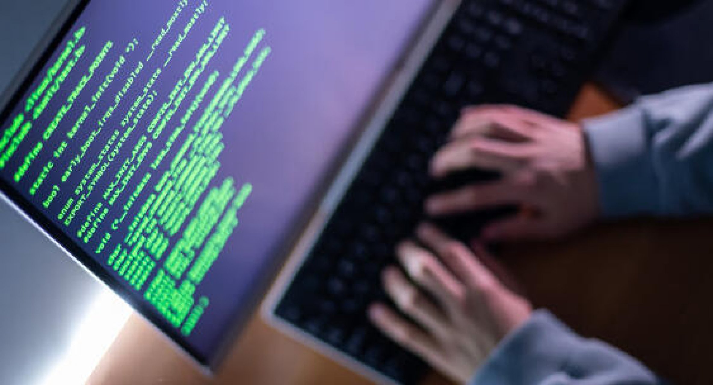 Айтишники в сфере общепита на Кубани начали получать высокие зарплаты