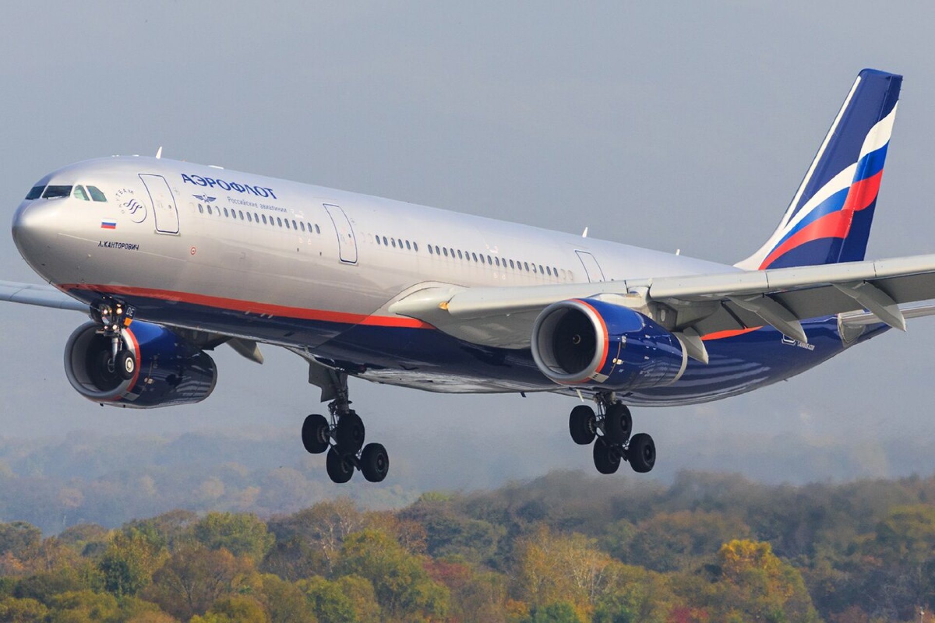 Число бронирований в Краснодаре выросло почти на 80%