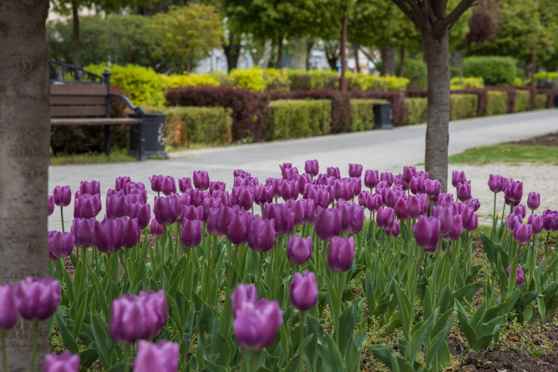 Майские праздники 2026: выходные - как отдыхаем