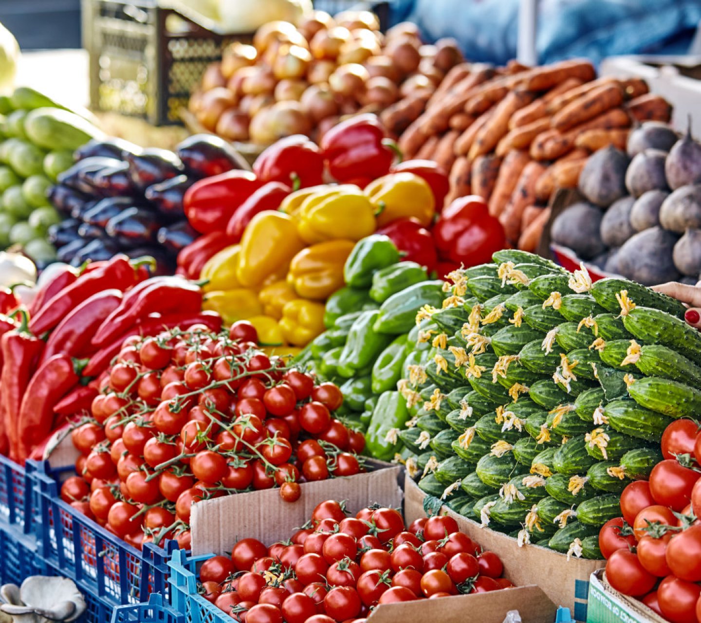 Продукты подорожали на 15% за год на Кубани