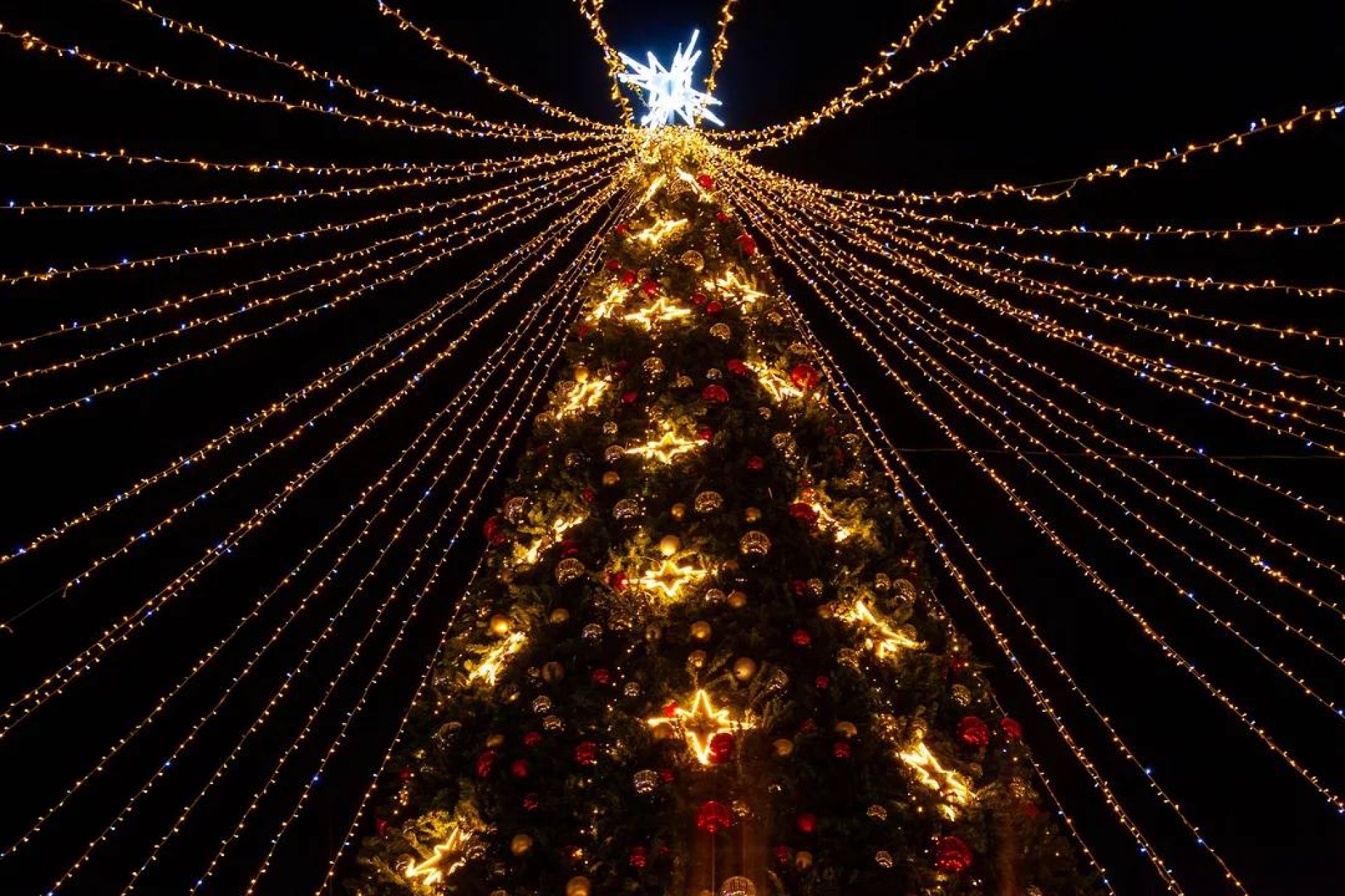 Турпоток в Краснодар на новогодние праздники может вырасти до 40%