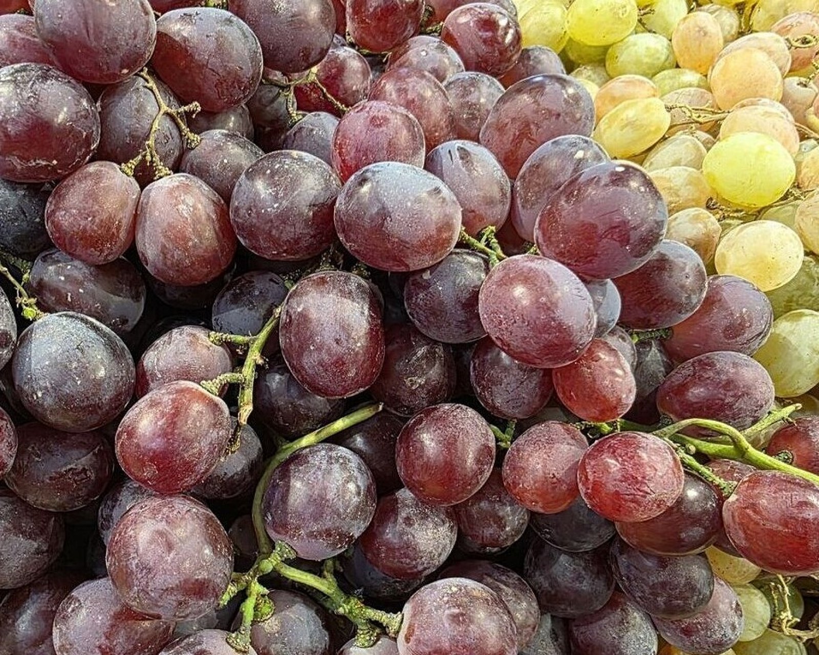 В Краснодарском крае для туристов открыты 35 виноделен