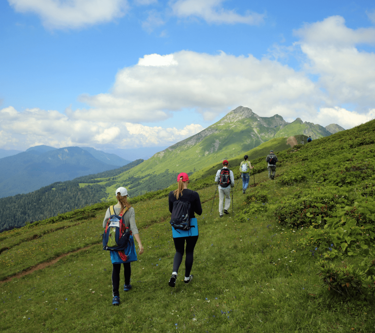 В Сочи разработали новый маршрут для познавательного туризма